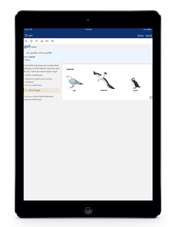 Screenshot #5 pour English Learners Dictionary