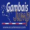 Gambais Jump icon