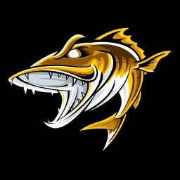 96.5 The Walleye  (KBYZ)