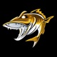 96.5 The Walleye  (KBYZ) app icon - Music app for iPhone