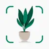 Plantify: Plant Identifier alternatives
