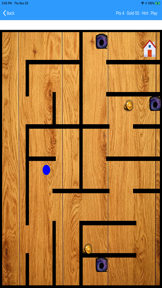 AmazedMaze Pro screenshot