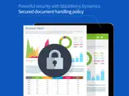 polaris office for blackberry айпад изображения 2