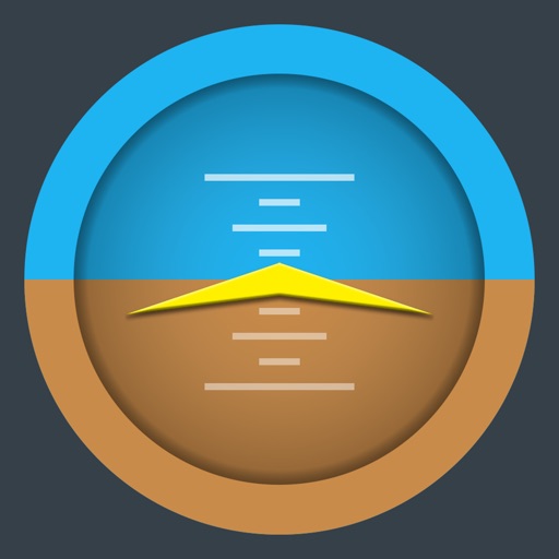 Winglet Flight Display