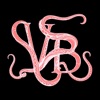 VB Yoga and Wellness icon