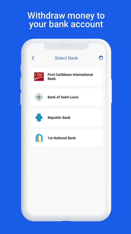 #5. Penny Pinch Wallet (iOS) 由: Penny Pinch Inc