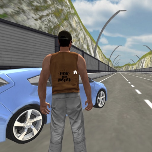 Car Driving Parcel Delivery 3D