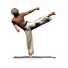 Taekwondo Forms (ITF/WTF) - Kai Winter