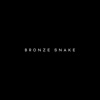 BRONZE SNAKE icon