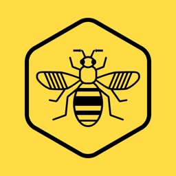 Bee Network
