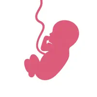 Pregnancy Tracker & Due Date