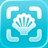 Get Sea Shell Identifier: Ocelexia for iOS, iPhone, iPad Aso Report