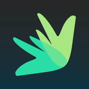 Build & Fix Credit: Dovly AI