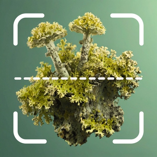 Lichen Identifier: Scan Lichen