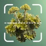 Get Lichen Identifier: Scan Lichen for iOS, iPhone, iPad Aso Report