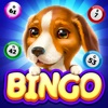 Bingo Dog - Fun Game 2024 icon