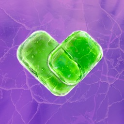 Teamo - app de rencontre