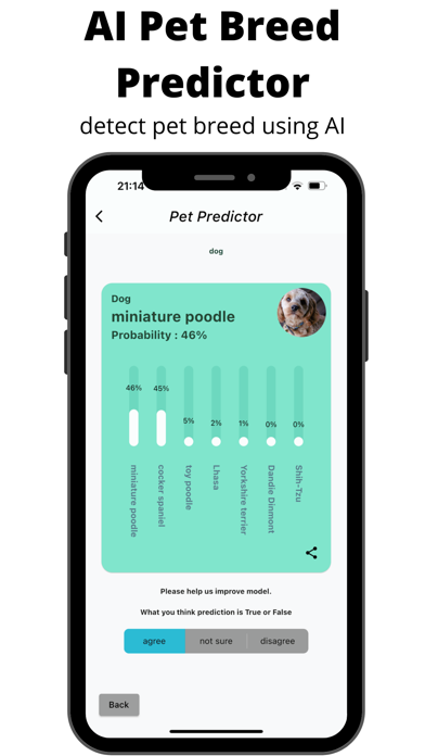 Pets Home App Screenshot