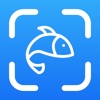 Fish Identifier : AI Verify icon