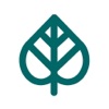 Kava Culture Kava Bar icon