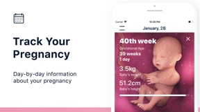 Stork — Pregnancy Tracker App screenshot