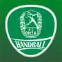 SC DHfK Handball