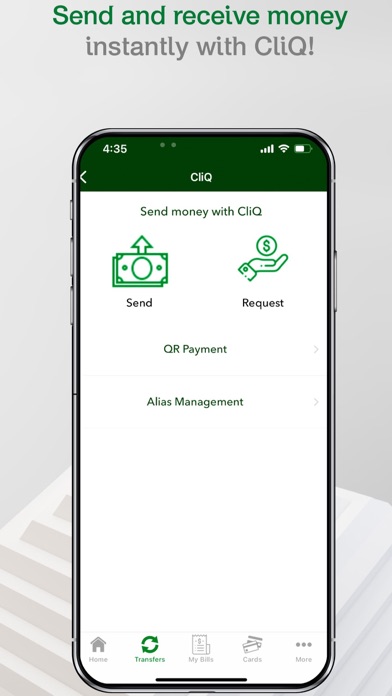 Safwa Islamic Bank Screenshot