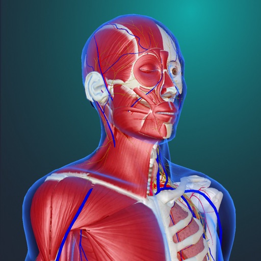 teamLab Body Pro 3d anatomy iOS App