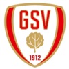 Großenasper Sportverein e.V. icon