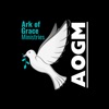 Ark of Grace icon