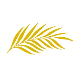 Cineasterna