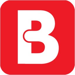 Bvd Lines - Sports Flip
