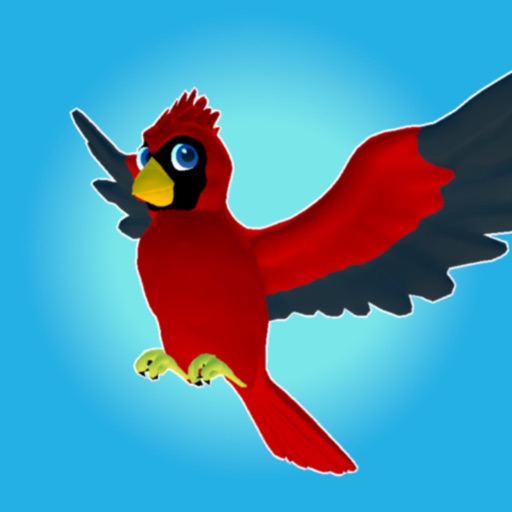 The Bird Game: flight is fun!