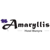 Amaryllis Hotels - Thokozani Manguwo Mbewe