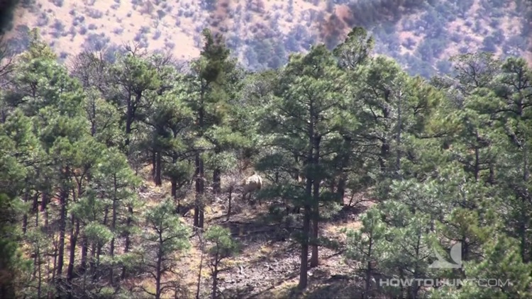 Big Game Hunting by HowtoHunt screenshot-7