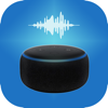 Smart Alexa voice Commands - Nice Express