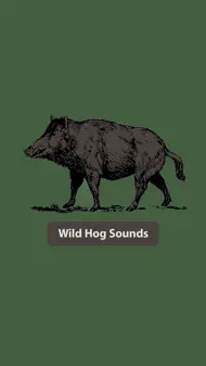 Wild Hog Sounds iphone bilder 1