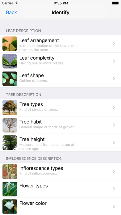 Screenshot #2 pour Useful Trees of East Africa