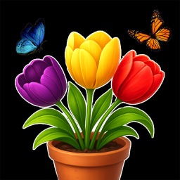 Blossom Match: Sorting Games