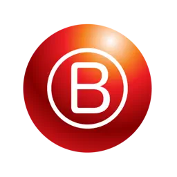 Bingo Caller Machine app icon