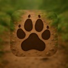 Animal Identifier - Track AI icon