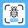 Get Insekten Scanner Pro for iOS, iPhone, iPad Aso Report
