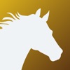 Equestrian Horse Riding & Care icon