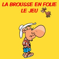 La Brousse en Folie LE JEU