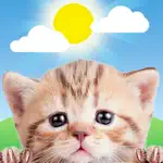 Weather Kitty: Weather + Radar App Alternatives