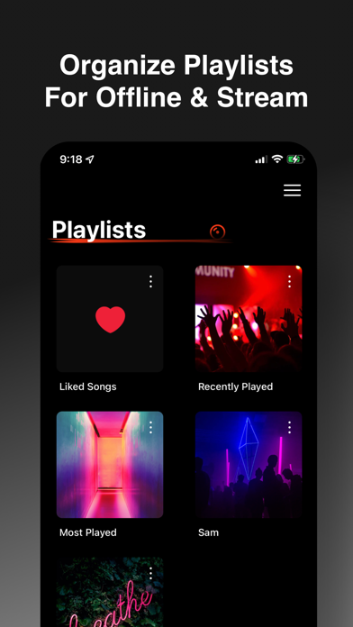 PoseMusic-Offline Music Player Screenshot