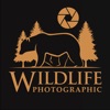 Wildlife Photographic Magazine