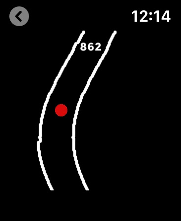 Apple Watch screenshot