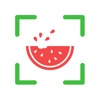 NutriPic: AI Calorie Counter icon