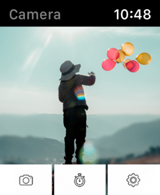 Blur Background. Screenshot